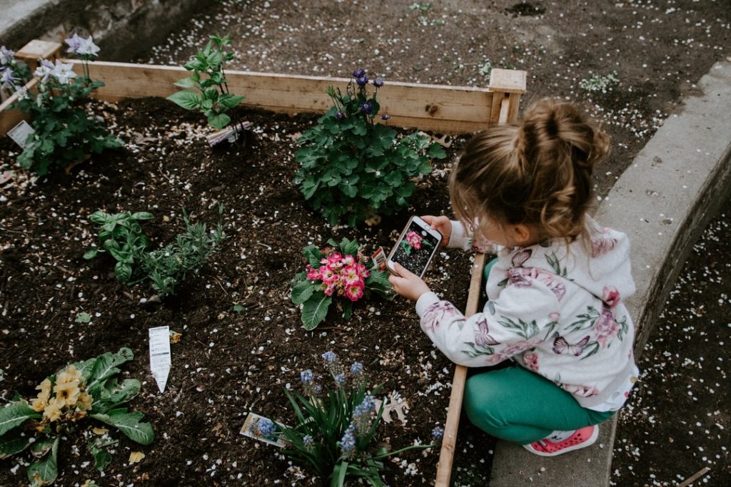 Easy Plants For Preschoolers To Grow