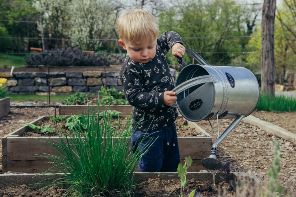 Easy Plants For Preschoolers To Grow