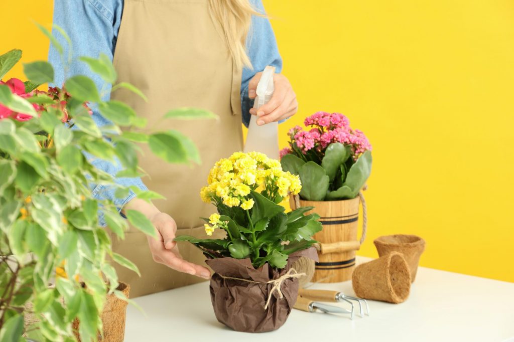 Gardening Indoors