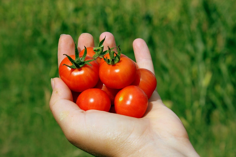 Spoon Tomatoes