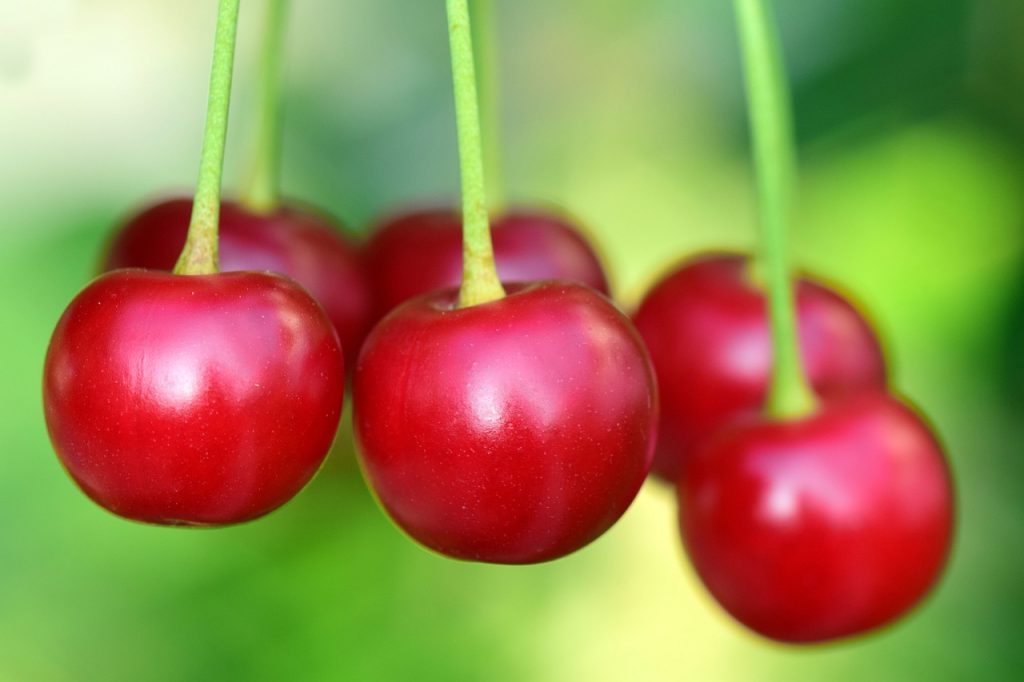 cherries