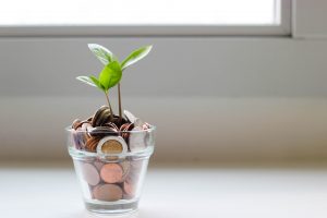 The 10 Most Profitable Plants To Grow And Sell