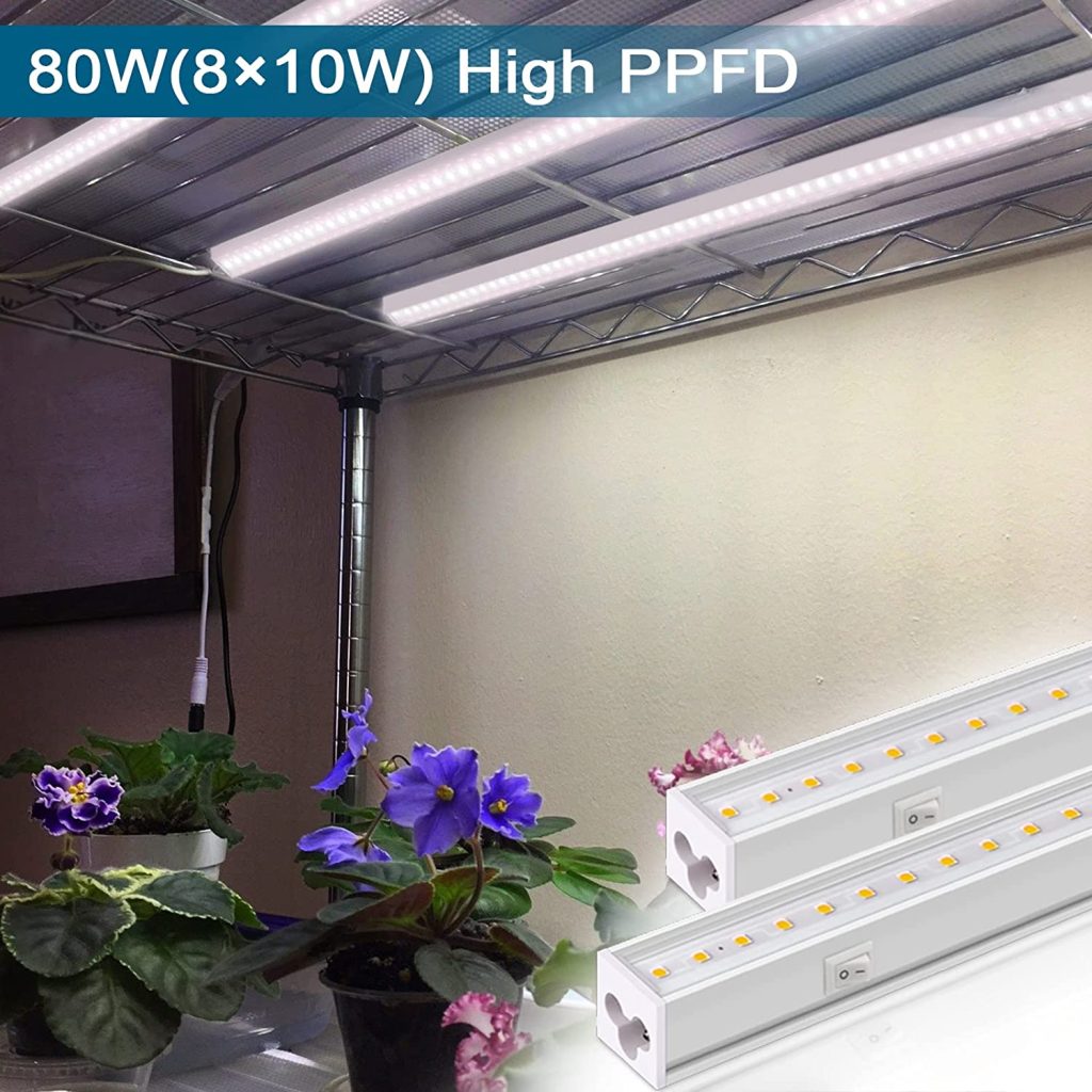 Barrina T5 Grow Light