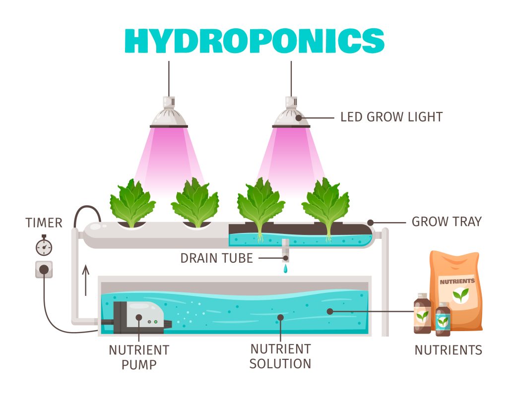 How Hydroponic System Works?