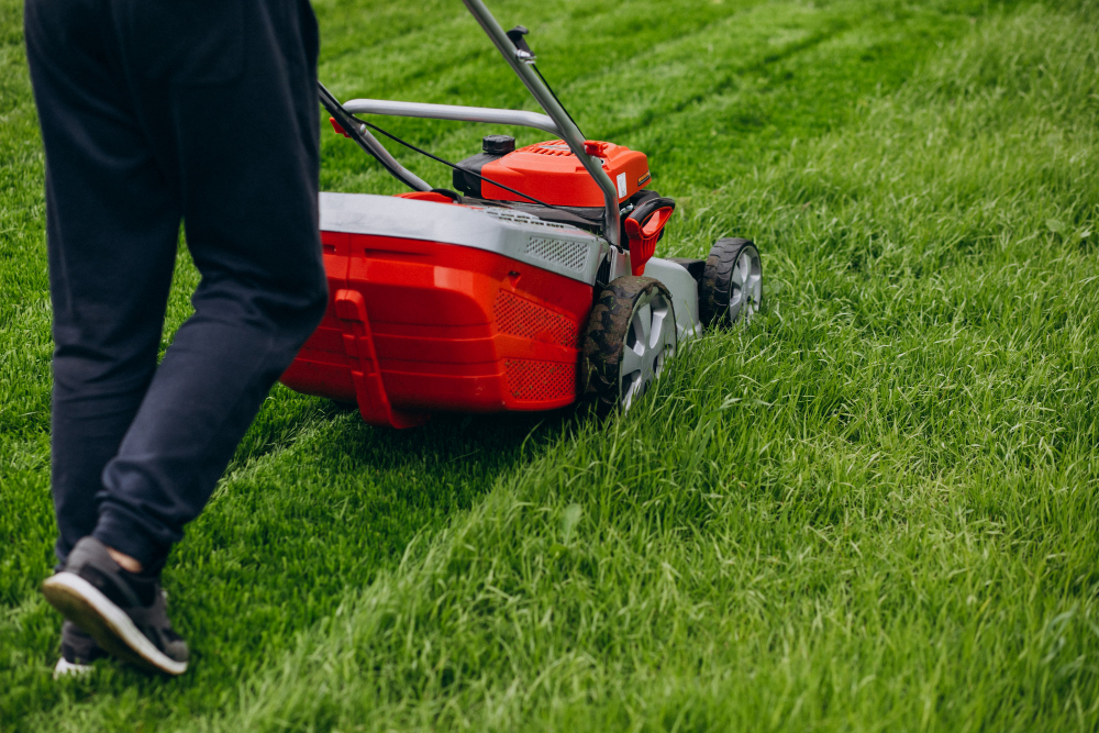 cutting-grass-with-lawn-mover-back-yard